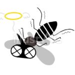 【蚊を撃退】蚊を見失ったらどこを探すのが正解？絶対に逃がさない撃退法を紹介！