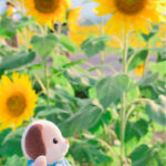 【夏】ホワイティうめだがシルバニアファミリーとコラボ！ヒマワリ1万6000本の装飾！