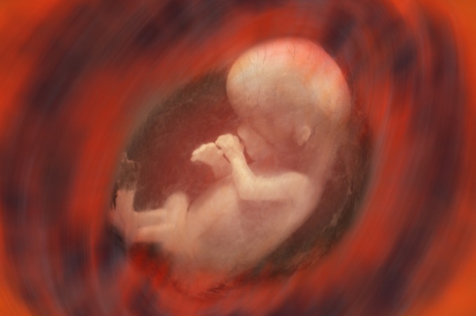【人工妊娠中絶】が憲法上の権利に…『中絶を支援』VS『中絶禁止の主張』賛否が米国世論を二分