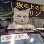 猫ちゃんが接客!?プリン専門店のアルバイト猫が「もふもふ」「器用に電卓叩いてるｗ」と話題