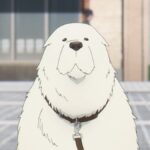 『SPY×FAMILY』第2クールスタート「大きな白い犬」が愛くるしい！ナレーション兼任の「松田健一郎」が見事