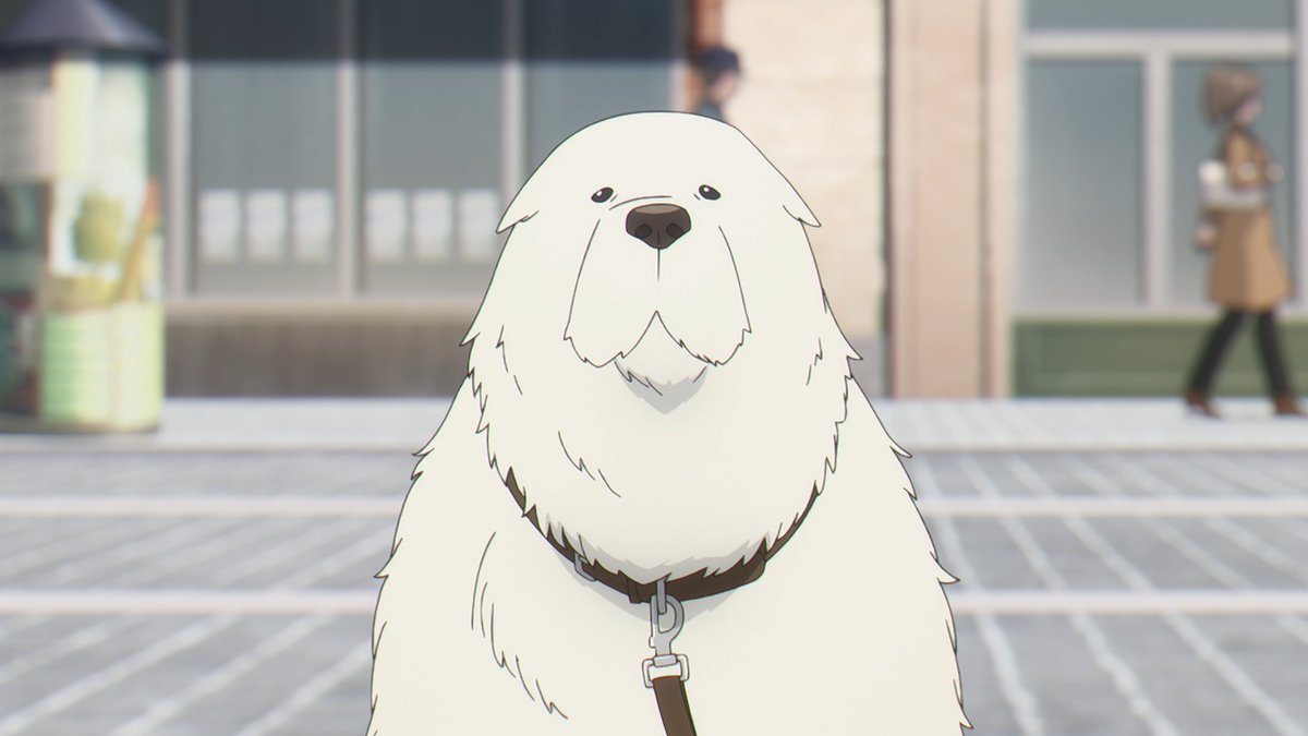 『SPY×FAMILY』第2クールスタート「大きな白い犬」が愛くるしい！ナレーション兼任の「松田健一郎」が見事