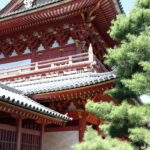 大工のうっかり？「400年前のノミ」国宝の屋根裏で発見　京都大徳寺