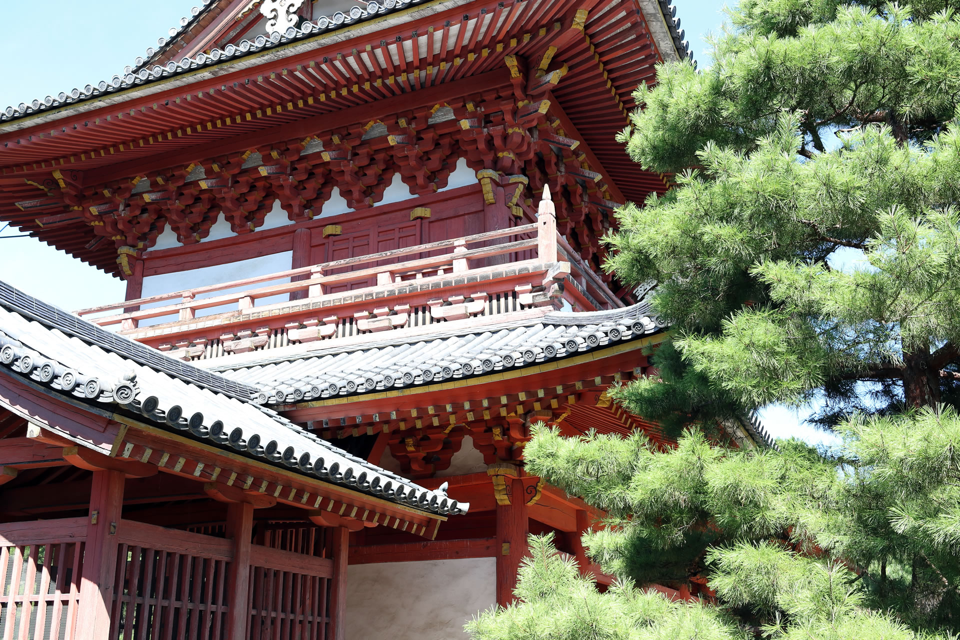大工のうっかり？「400年前のノミ」国宝の屋根裏で発見　京都大徳寺