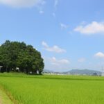 『地方移住』に期待して就職した女性...男尊女卑の洗礼「田舎の人は皆良い人じゃなかった」と困惑