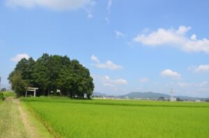 『地方移住』に期待して就職した女性...男尊女卑の洗礼「田舎の人は皆良い人じゃなかった」と困惑