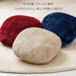 10分蓄熱で電力代が気にならない！ 寛ぎながら温まりたい方にピッタリの ､あったか「湯たんぽクッション」登場