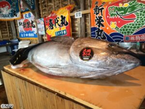 『大間まぐろ』商標はなぜ1カ月で方針転換したのか…漁協トップが語った