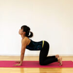 猫背を改善！ 肩こり・腰痛に効果的な驚きのストレッチ「キャット＆ドッグ」とは？