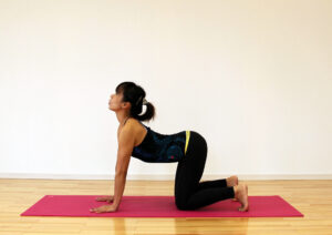 猫背を改善！ 肩こり・腰痛に効果的な驚きのストレッチ「キャット＆ドッグ」とは？