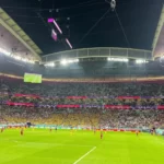 韓国教授が日本のサポーターに警告「Ｗ杯で旭日旗を使ったら…」＝韓国ネットも支持「協力する」