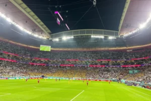 韓国教授が日本のサポーターに警告「Ｗ杯で旭日旗を使ったら…」＝韓国ネットも支持「協力する」