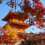 都道府県の魅力度ランキング　3位「沖縄県」、2位「京都府」、1位は？