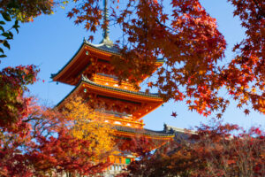 都道府県の魅力度ランキング　3位「沖縄県」、2位「京都府」、1位は？