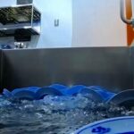 くら寿司のお皿はどこに行くのか？　追跡した動画に「ワクワク感あって好き」「開発した人は天才」の声集まる