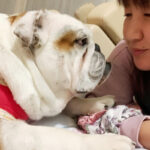 『北斗晶』長男・健之介の誕生日パーティーで愛犬がケーキを食べてしまうハプニング「本当に漫画みたいでした」