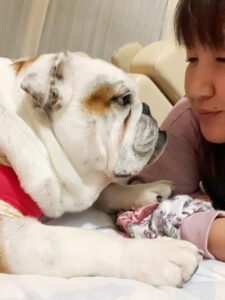 『北斗晶』長男・健之介の誕生日パーティーで愛犬がケーキを食べてしまうハプニング「本当に漫画みたいでした」