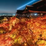 清水寺の「限界突破した」紅葉が目を見張る美しさ　見事な絶景に感動の声続々