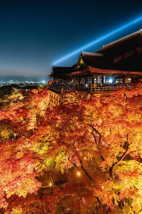 清水寺の「限界突破した」紅葉が目を見張る美しさ　見事な絶景に感動の声続々