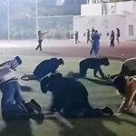 中国で「四つんばい」現象話題、コロナ長期化でストレスか...