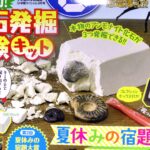 「小学8年生買うしかないですわ！！」「すごい付録だなあ。夢中で掘り進める娘」「掘り当てた石が綺麗で娘大興奮！