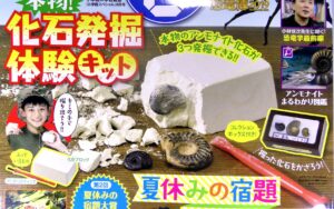 「小学8年生買うしかないですわ！！」「すごい付録だなあ。夢中で掘り進める娘」「掘り当てた石が綺麗で娘大興奮！