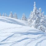 「会社休み」の次は「出勤無理」がトレンド入り　雪国民からは不満の声も