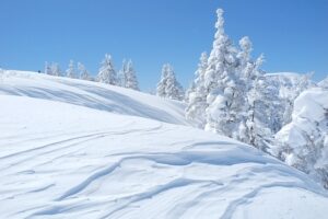 「会社休み」の次は「出勤無理」がトレンド入り　雪国民からは不満の声も