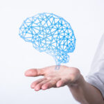 ＡＩで認知症リスクを可視化する脳ドッグ用ソフト「ＢｒａｉｎＳｕｉｔｅ」、海馬の経年グラフが確認可能に