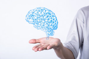 ＡＩで認知症リスクを可視化する脳ドッグ用ソフト「ＢｒａｉｎＳｕｉｔｅ」、海馬の経年グラフが確認可能に