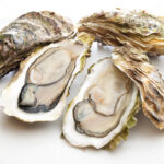 ゼネラル・オイスターが「牡蠣のサブスク」をスタート! 月額3,980円〜