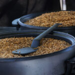 賛否相次ぐ、話題の『昆虫食』　ビートきよしの意見に「自分も同意」「考えさせられる」