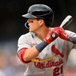 ヌートバーの「いつか日本のプロ野球で」発言が各球団ファンから熱い支持！地元の球団を推す声も