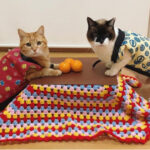 「何これすごい！」AIが創り出した奇想天外な家具にネットが大爆笑