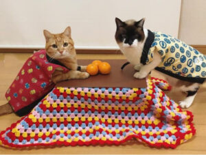 「何これすごい！」AIが創り出した奇想天外な家具にネットが大爆笑