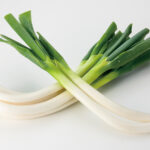 ネギの青い部分と白い部分、栄養素の差異とは？
