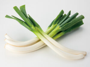 ネギの青い部分と白い部分、栄養素の差異とは？