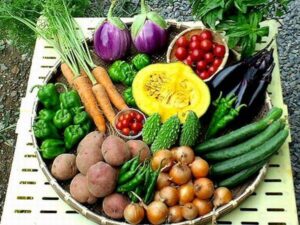 「日本の食料自給率」は「非常に低い」！？ 低水準が続く理由、私たちにできる対策は？