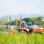 インボイスで農家の税金が２０万増えそう