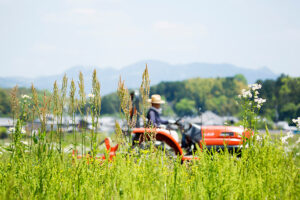 インボイスで農家の税金が２０万増えそう