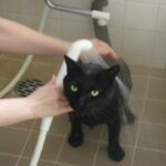 山田養蜂場役員を逮捕　女性脱衣所で盗撮指示疑い