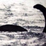 過去５０年間で最大規模の“ネッシー探索”が失敗