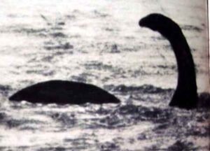 過去５０年間で最大規模の“ネッシー探索”が失敗