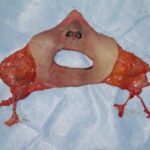 八代亜紀さん、雨の別れ　お別れの会に３千人