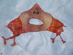 八代亜紀さん、雨の別れ　お別れの会に３千人