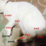 【愛知】名古屋・栄の「中日ビル」が開業　500人が行列…ブルーボトルコーヒーには100人ほどの注文待ちが…