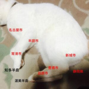 【愛知】名古屋・栄の「中日ビル」が開業　500人が行列…ブルーボトルコーヒーには100人ほどの注文待ちが…