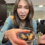 【芸能】Ｃｏｃｏｍｉ　バレーの推し明かす　ＤＭで知り合い…ＬＩＮＥで長電話も「当初は遠距離恋愛してました」