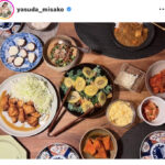 【芸能】「＃みさこクッキング」安田美沙子の手料理がおいしそう！サラダ×あのフルーツに「アイデア凄すぎ」の声