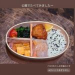 【芸能】齋藤飛鳥、手作り弁当持参で公園へ　「めっちゃ美味しそう」「すごくない？！」